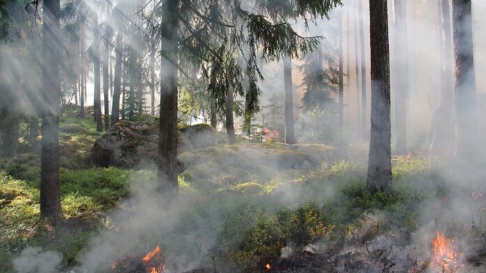 archivo infogate web-5-2-13-34