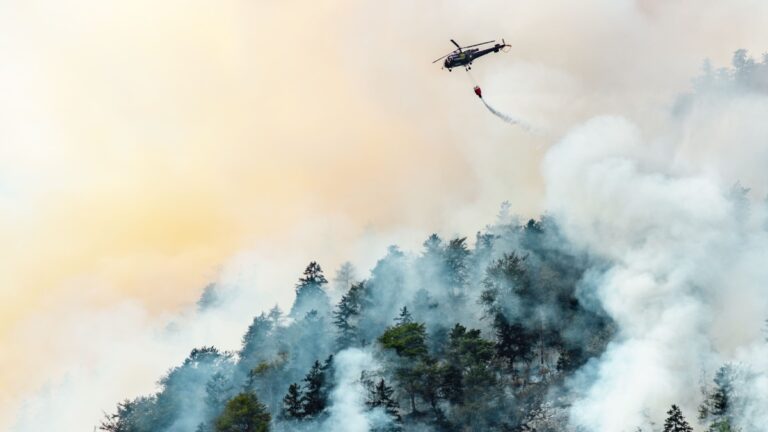 Senapred entrega balance de incendios forestales en el país