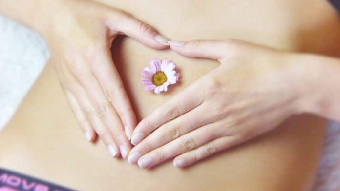 archivo infogate web-5-2-34-27