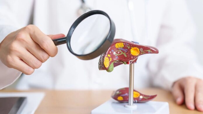 archivo infogate web-5-2-34-23