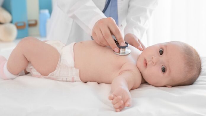 Archivo Infogate Web 5 2 34 30