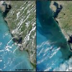 Copernicus elige como imagen del día la costa oeste de Florida antes y después del huracán ‘Milton’