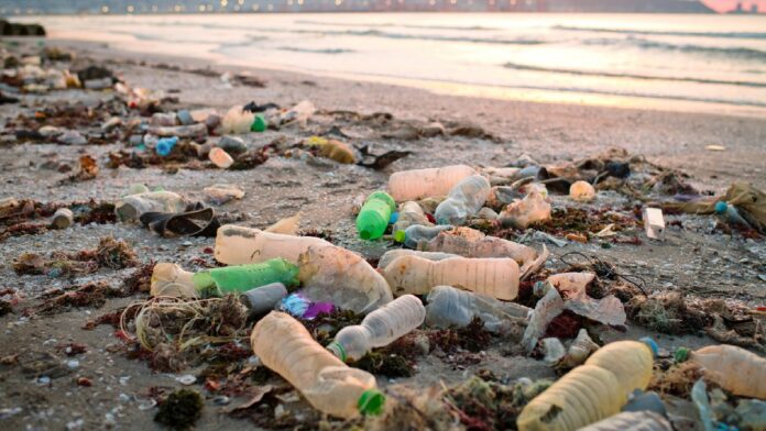 archivo infogate web-5-2-34-45