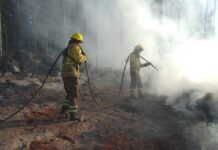 Aumento de incendios forestales en 21% debe reforzar acciones de prevención