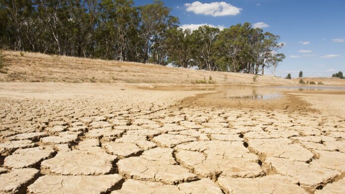 archivo infogate web-5-2-34-8