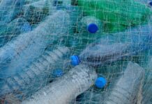 Para el 2050, habrá más plástico que peces en el océano ¿Cómo evitarlo desde la casa?