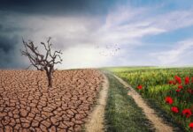 Los desafíos de la COP30: Acelerar la adaptación al cambio climático y limitar el aumento de la temperatura en un esfuerzo conjunto