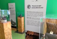 Mes de la Artesanía en el Biobío para celebrar los oficios, las identidades y la nueva ley del sector