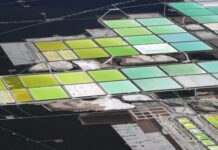 China aprueba acuerdo de asociación Codelco y SQM por litio