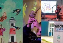 Cuadernos a la Mesa presenta su séptima edición divulgando nuevas acciones de educación artística en el Biobío