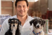 Golpe de calor: cómo la nutrición ayuda a proteger a las mascotas durante el verano