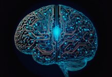 Científicos de Mayo Clinic crean herramienta para predecir el riesgo de Alzheimer años antes de que empiecen los síntomas