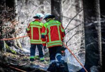Cinco consejos para prevenir incendios forestales este verano