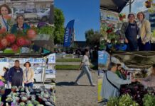 Feria de las Flores cautivó una vez más al público penquista