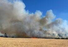 Declaran alerta amarilla para O’Higgins por incendios: “Superan capacidad operativa”