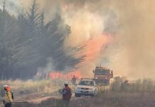 Piden evacuar sector Coguil en Pichilemu por incendio forestal