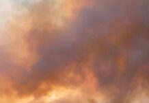 Sigue el combate en incendio que afecta 450 hectáreas en comuna de San Pedro