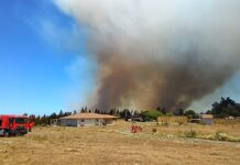 Balance de Conaf sobre principales incendios forestales que se combaten en el país