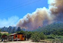 Piden evacuar sectores de Santo Domingo por avance del incendio forestal