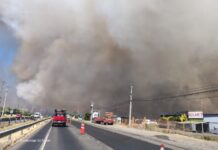 Declaran alerta roja para Chillán Viejo por incendio forestal cercano a sectores poblados