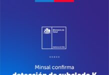 Minsal confirma detección de subclado K de influenza A(H3N2) en Chile