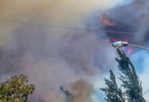 Incendio en Pichidegua deja 400 personas evacuadas y 4 viviendas en evaluación