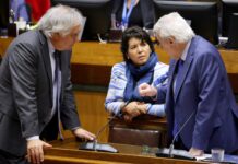 Provoste y Prohens coordinan con Canciller reunión con exportadores de uva por System Approach