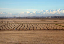 Odepa actualizó la clasificación comunal de la Política Nacional de Desarrollo Rural con datos del Censo 2024