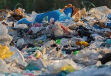 WWF Chile lamenta retroceso en Ley de Plásticos de un Solo Uso