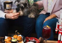 “Christmas Bites”: un tea time pet friendly para celebrar la Navidad en Cataleya Rooftop