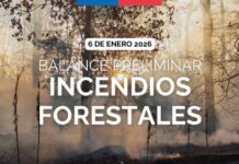 Ocho incendios se mantienen en combate en el país