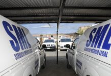 SML identifica a 17 víctimas de los incendios forestales de Ñuble y Biobío