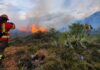 Senapred da informe consolidado de incendios forestales en el país