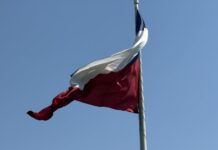 Análisis: Las Relaciones Exteriores de Chile en el actual contexto global