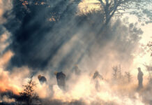 Regiones de la macrozona sur en alerta máxima por ola de calor