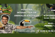 X-OTIA llega a Mall Sport con una propuesta educativa y familiar que invita a descubrir el mundo de los animales exóticos