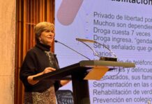 Matthei reaparece con críticas a Boric: «Será recordado como el gobierno del desempleo”