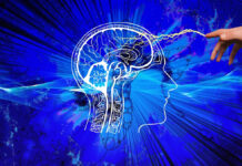 Neuróloga asegura que mantener el cerebro ‘joven’ no depende de suplementos ni de ejercicios milagrosos