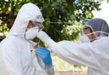 Mantienen alerta zoosanitaria para región de Valparaíso por influenza aviar