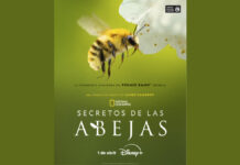 Disney+ presenta el trailer de «Secreto de las Abejas», la nueva serie de National Geographic