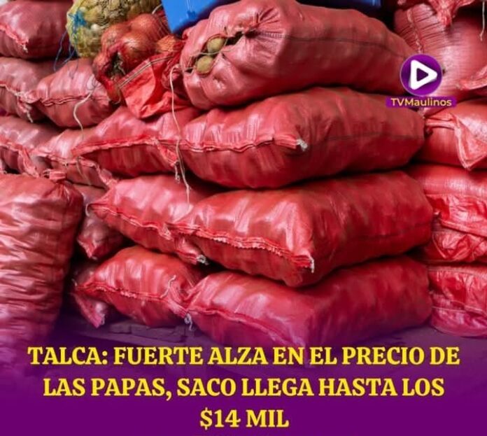 papas talca